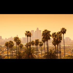 Meet your Posher, Jami